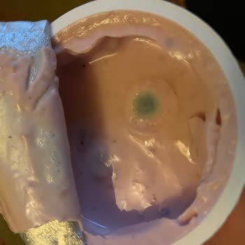 Taze Görünümlü Küflü Yoğurt Hayal Kırıklığı