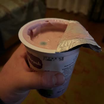 Taze Görünümlü Küflü Yoğurt Hayal Kırıklığı