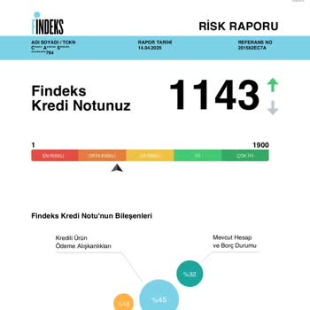 Kredi Notu Yanıltıcı: Orta Riskli Görünüyorum!