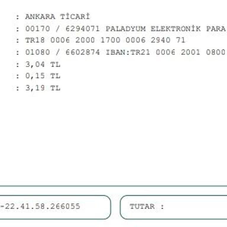 Para Transferi Sorunu Ve Kart Başvurusu Engeli