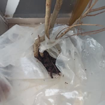 Yanıltıcı Ürün Teslimatı Ve İade Süreci Sorunu