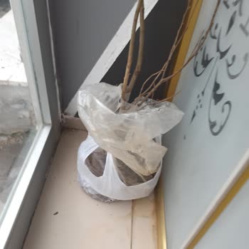 Yanıltıcı Ürün Teslimatı Ve İade Süreci Sorunu