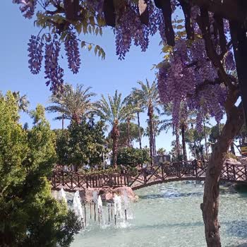 Omix X5 Telefonumda Yaşadığım Sorunlar