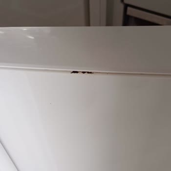 Samsung Buzdolabı Kapak Boyası Sorunu Üzdü