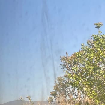 Trenlerde Hijyen Sorunu: Acil Temizlik Gerekiyor