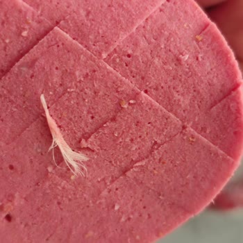 Lezitta Piliç Salamda Tüy Şoku