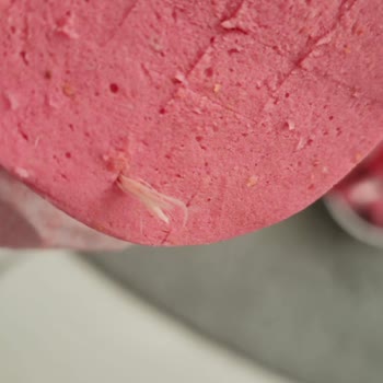 Lezitta Piliç Salamda Tüy Şoku