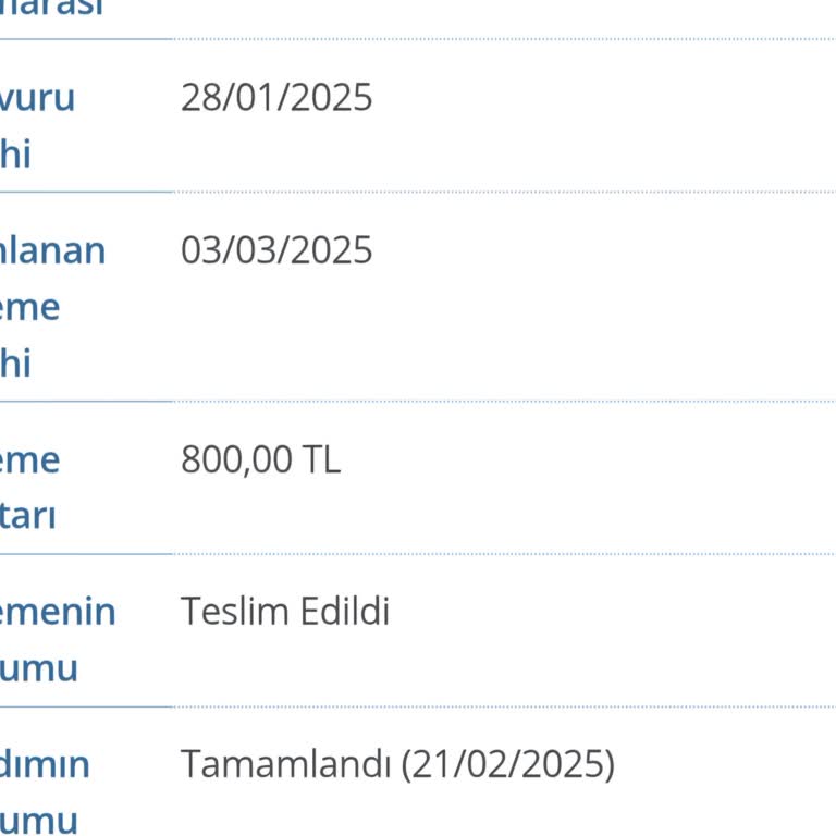 Ulaşım Desteği Ödemesi Hesabıma Geçmedi