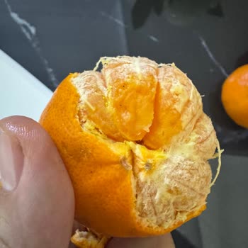 Yemeksepeti'nden Gelen Bozuk Meyvelerle Mahcubiyet