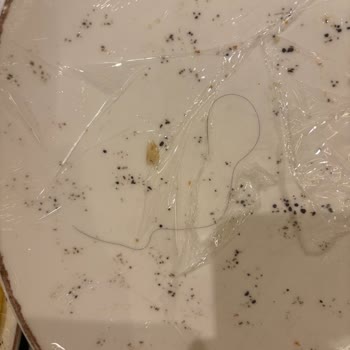 Rixos Premium Göcek'te Sağlık Sorunları Ve Yetersiz Müşteri Hizmetleri