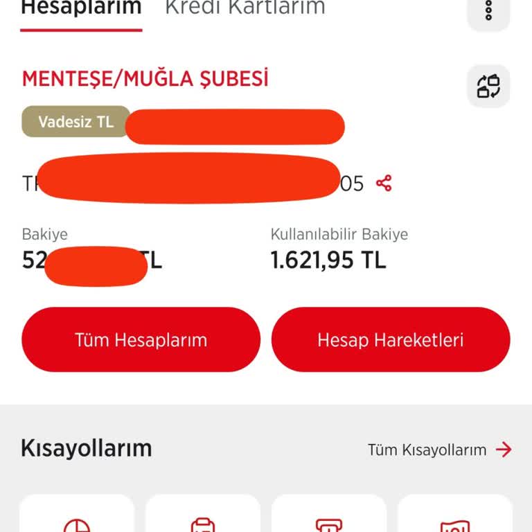 Ziraat Bankası'nda Bloke Sorunu Ve Müşteri Hizmetleri Yetersizliği