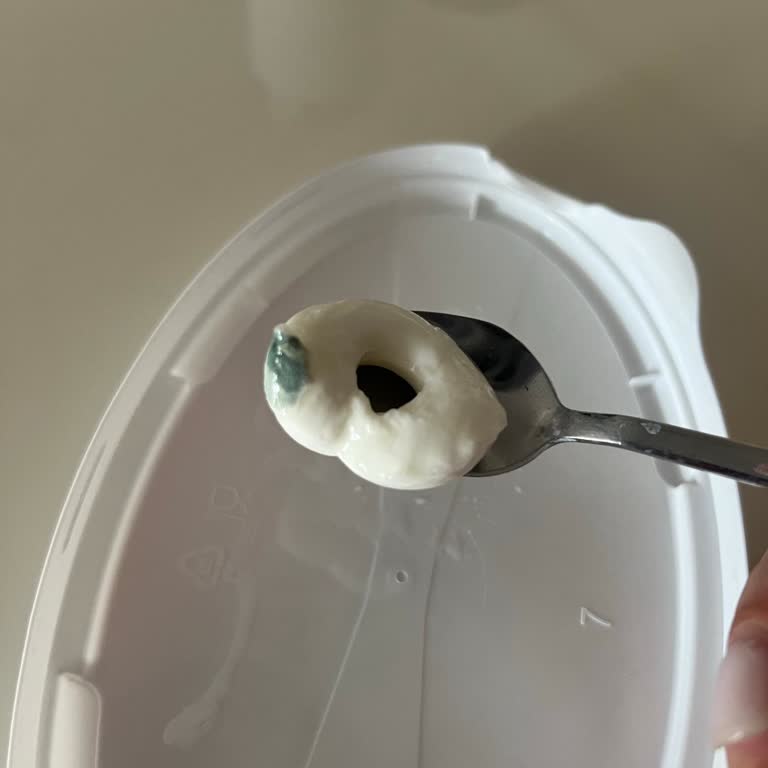 Bahçıvan Küflü Peynir Skandalı: Çocuğumun Güvenliği Tehlikede!