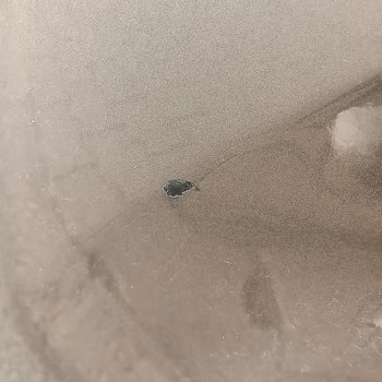 Auto King Hdi Sigorta Ve Eskon Servis İlgisizliği!