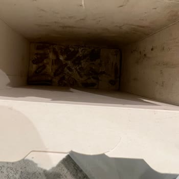 Barilla Ürünlerinde Tekrarlayan Kalite Sorunları