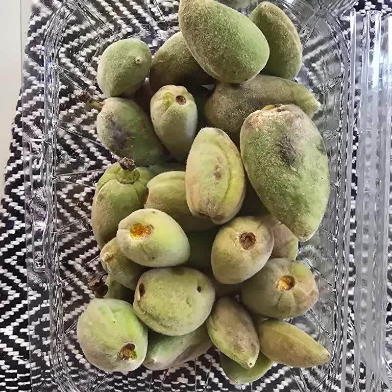 Migros Teslimat Sorunları Ve Kalitesiz Ürünler