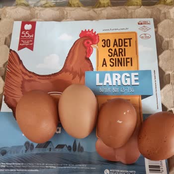 Yanlış Boyutta Yumurtalar: Türem Markasına Güven Sarsıldı