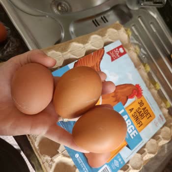 Yanlış Boyutta Yumurtalar: Türem Markasına Güven Sarsıldı