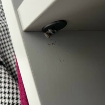 Bellona Düğün Paketi Hayal Kırıklığı