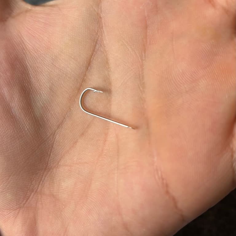 Geç Kargolanan Ve Kalitesiz Olta İğnesi Hayal Kırıklığı