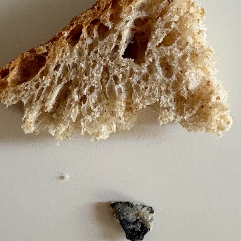 Ekmekten Çıkan Plastik Parça Şoku