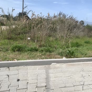 Bakım Bekleyen Otluk Alan Ve Ulaşımı Zorlaştıran Yol Sorunu