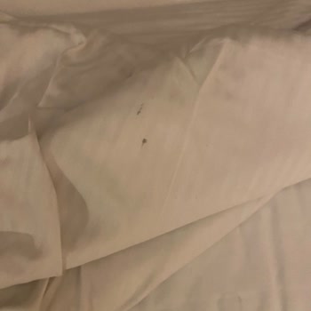 Lady Travel İzmir Alsancak Şubesi: Tatilde Temizlik Ve Hizmet Skandalı!