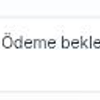 Ödeme İşlemlerinde Gecikme Ve İletişim Sorunları