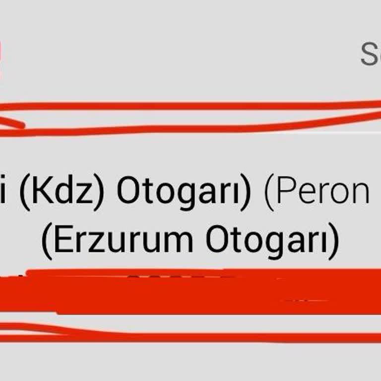 Kanberoğlu Turizm Yağmur Altında Valiz Taşıyan Yolcular: Disiplinsiz Memnuniyetsiz Seyahat Deneyimi