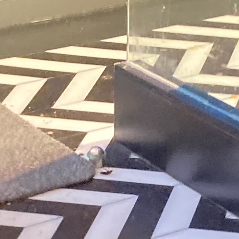 Galataport Şubesinde Hijyen Sorunu Ve Garsonun Rahat Tavırları