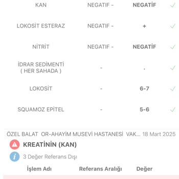 Yanlış Böbrek Yetmezliği Teşhisiyle Yaşanan Kabus