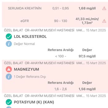 Yanlış Böbrek Yetmezliği Teşhisiyle Yaşanan Kabus