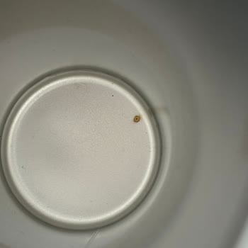 A101 Stanley Termos Paslanma Sorunu Ve Müşteri Hizmetleri Yanıtı