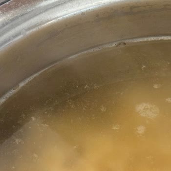 Tarım Kredi Makarnadan Kurt Çıkması