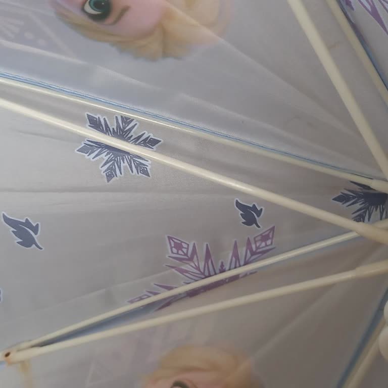 Disney Şemsiyede Pas Lekesi Şoku