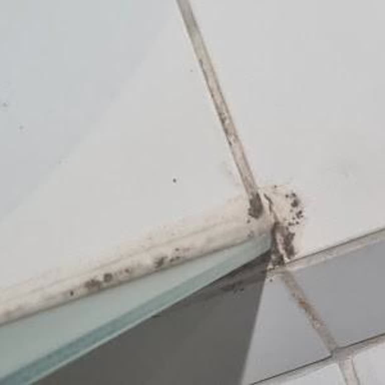 Doktorun Oteli Hijyen Fiyaskosu: Otelde Yaşanan Kabus