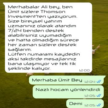 Telegram Üzerinden Yönlendirilen Yatırımda Yaşanan Mağduriyet