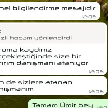 Telegram Üzerinden Yönlendirilen Yatırımda Yaşanan Mağduriyet