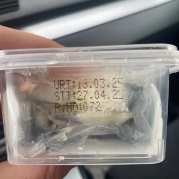 A101 Mağazasında Küflenen Kaymak Ve İade Sorunu