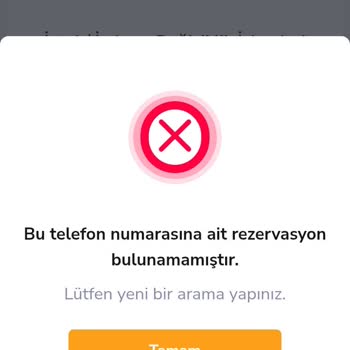 Araç Kiralama Sürecinde Bilgi Eksikliği Ve İade Sorunları