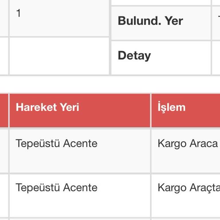 Kargo Teslimatında Yaşanan Gecikme Ve Tedirginlik