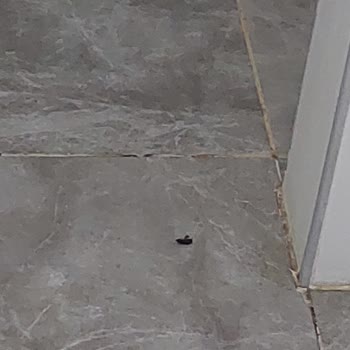 Balıkesir İlim Yayma Cemiyeti Yurdunda Yaşanan Sorunlar