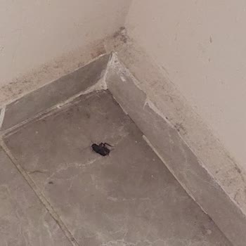 Balıkesir İlim Yayma Cemiyeti Yurdunda Yaşanan Sorunlar