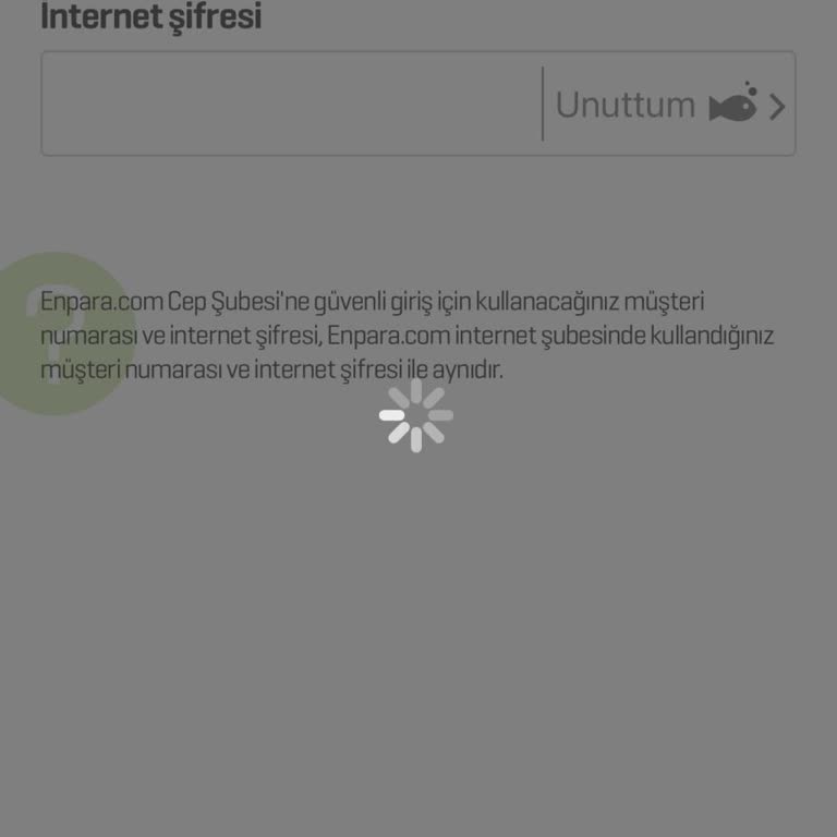 Havale Sorunu Ve Ulaşılamayan Destek