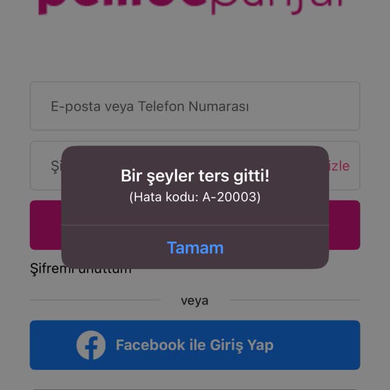 Profil Engeli Nedeniyle Erişim Sorunu