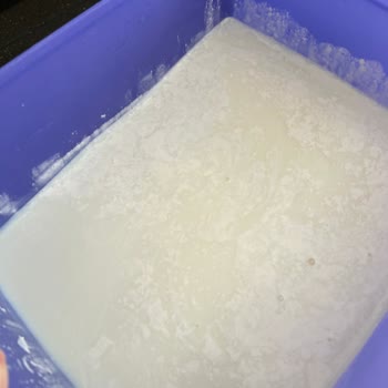 Macro Center Yoğurt Mayası Hayal Kırıklığı: Jersey Süt Ziyan Oldu!