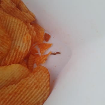 Cips Paketinde Kurt Şoku: Denetim Eksikliği Sağlık Riski Yaratıyor