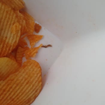 Cips Paketinde Kurt Şoku: Denetim Eksikliği Sağlık Riski Yaratıyor