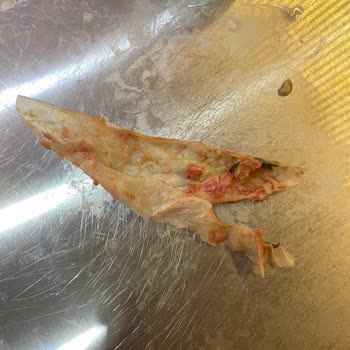 Getir Üzerinden Aldığım Dana Kıymada Şok Edici Cisim