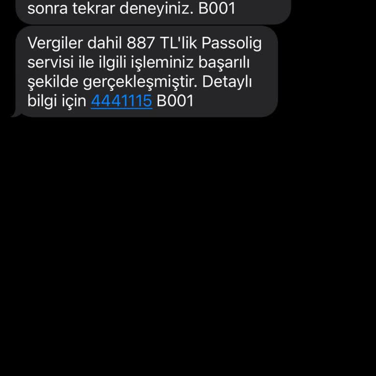 Passolig Başvurum Onaylanmadı, Fatura Şişti