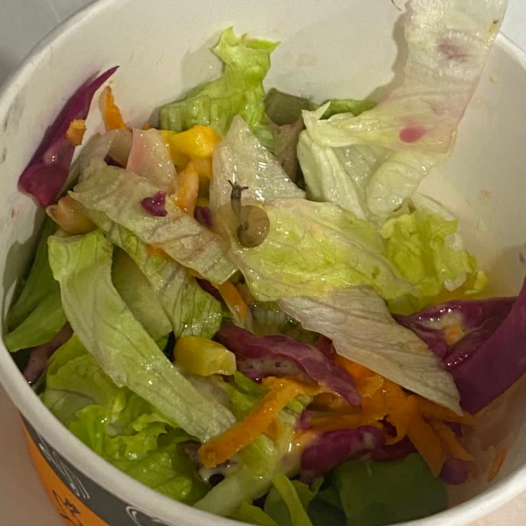 Snap Salad & Bowl Salatanın İçinden Salyangoz Çıktı